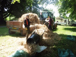 Using Barley Straw to control weed and pond algae