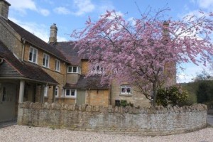 Exterior Rear (compressed)